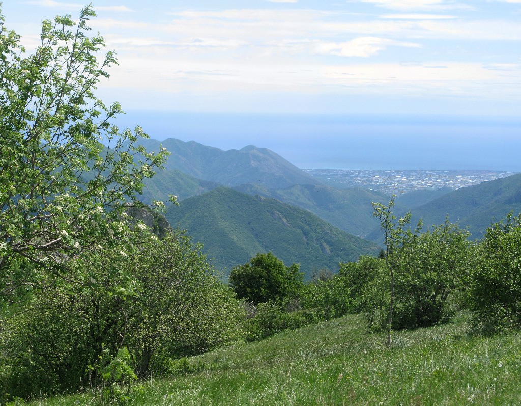 Vue sur Algenga et la côte ligure