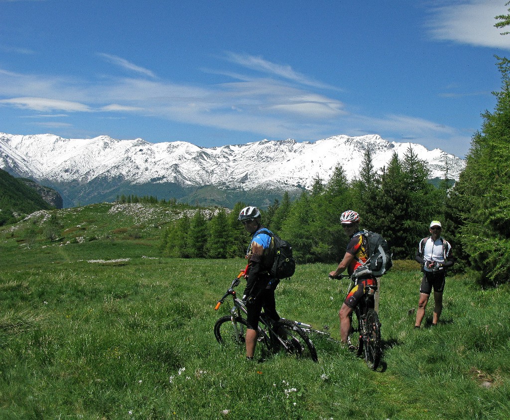 Entre les M. Dubasso et Armetta, vue sur la chaîne du M. Mongioie