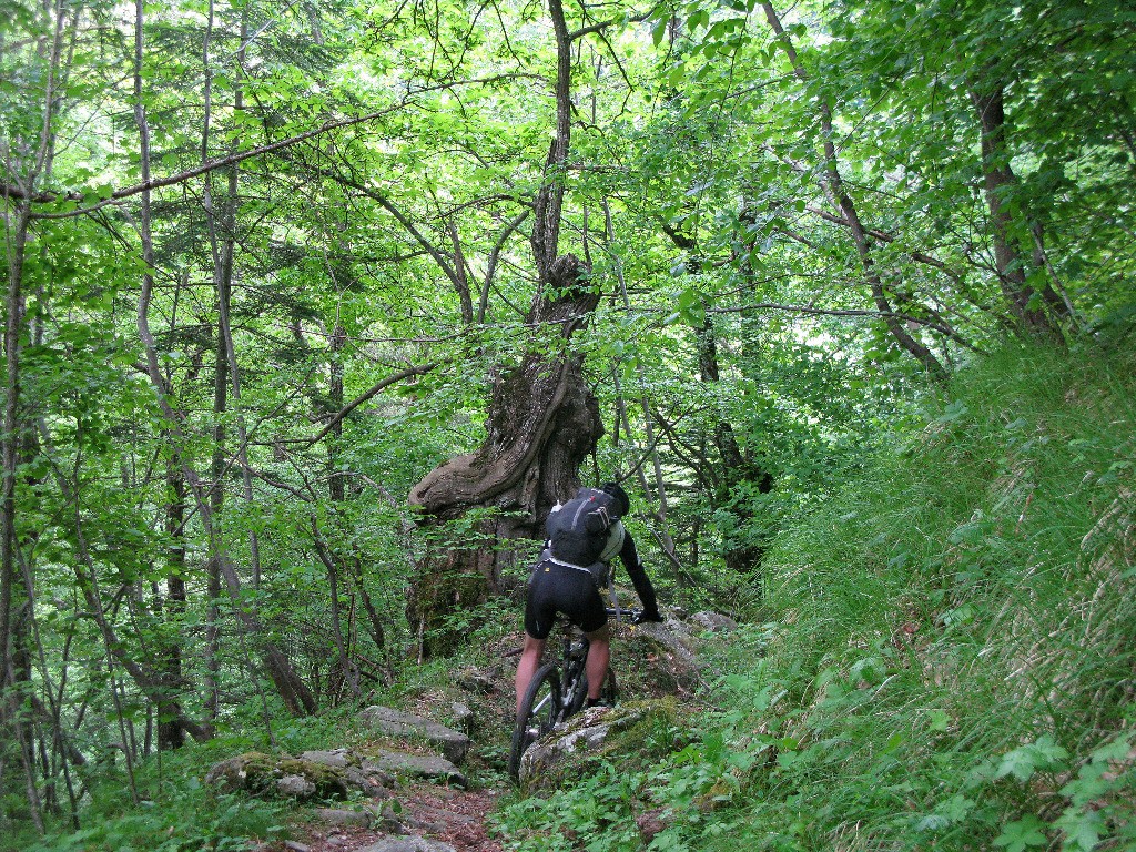 Sentier toujours aussi plaisant en approchant de Realdo