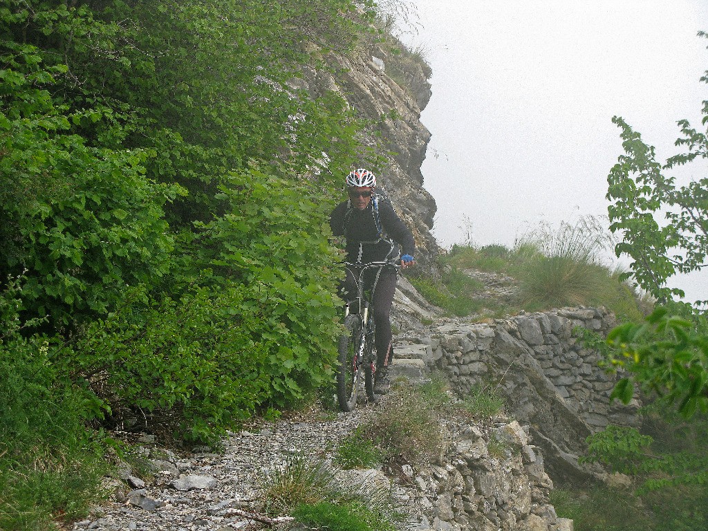 #19 Adret du Mt Torrage Adret du Mt Torrage