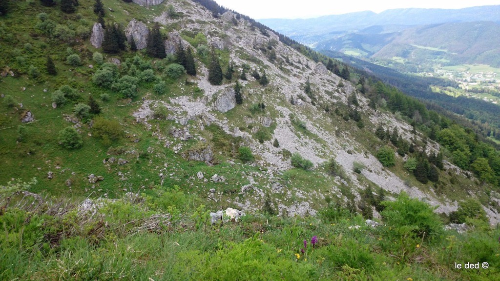 sentier Gobert aux allures de chemin du Roy !