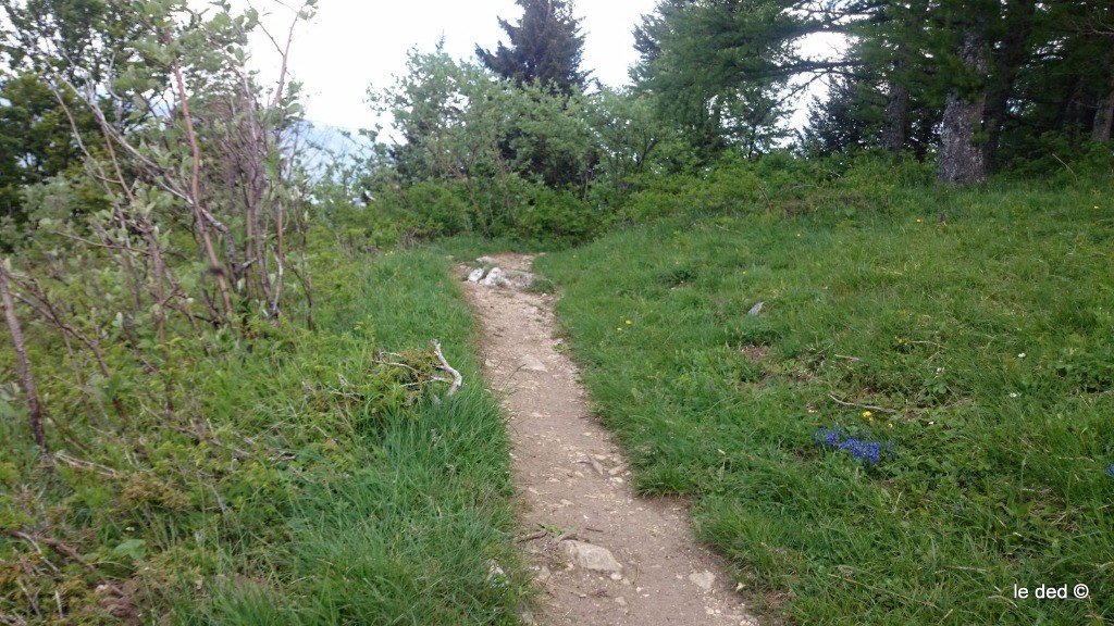 #16 sentier Gobert sentier Gobert