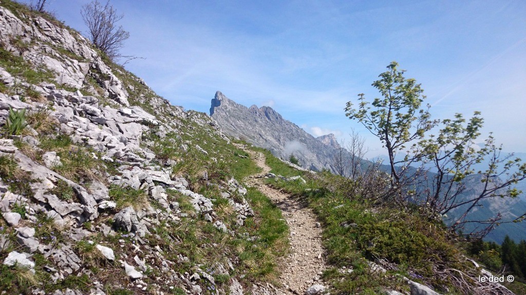 sentier du col Vert