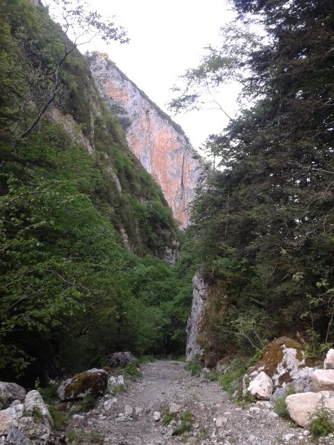 #18 Du cailloux Du cailloux