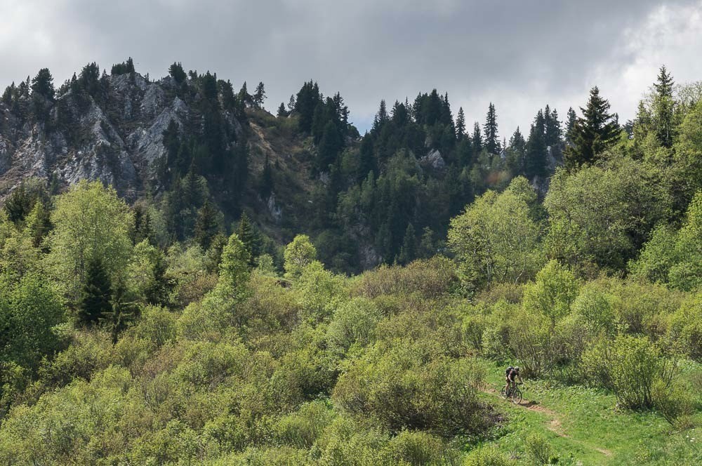 Versant E du Col de la Chal