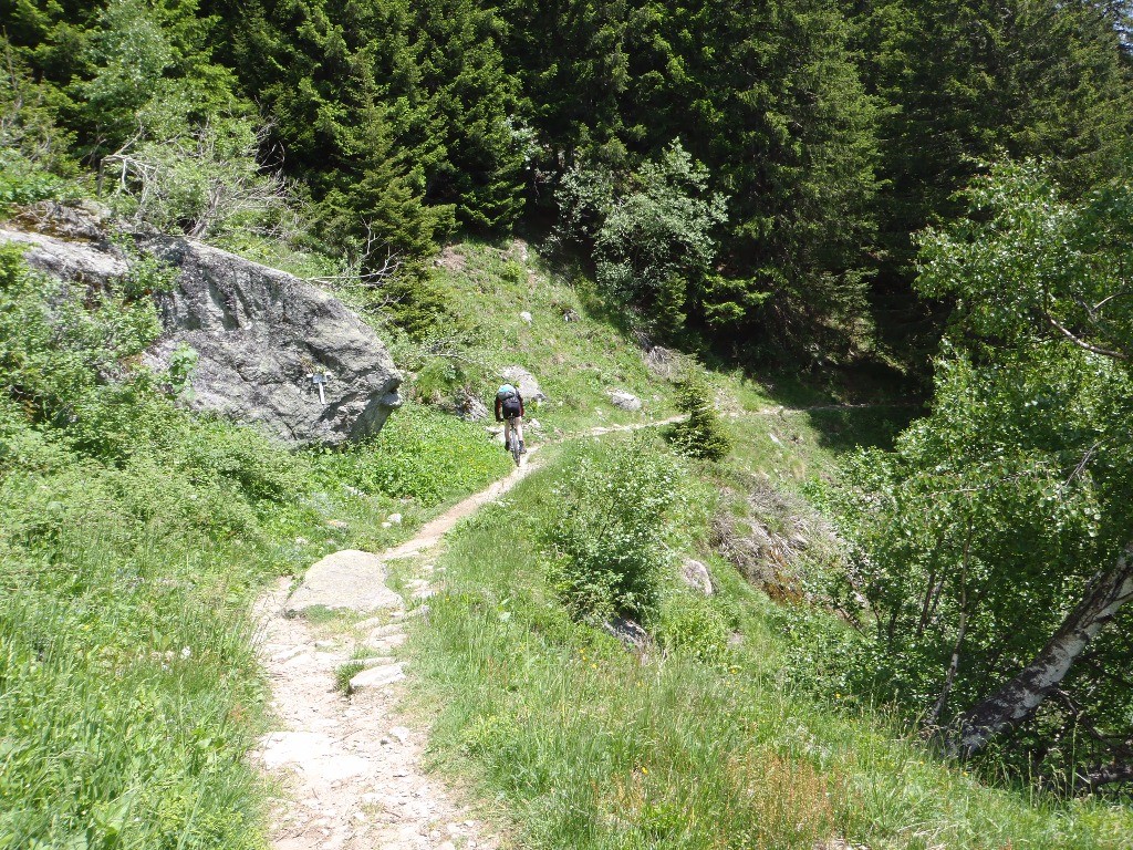 #17 Descente sous la Combe du Brévent : la partie la plus facile, des passages (T4) par endroit. La descente m Descente sous la Combe du Brévent : la partie la plus facile, des passages (T4) par endroit. La descente m'a fait transpirer.