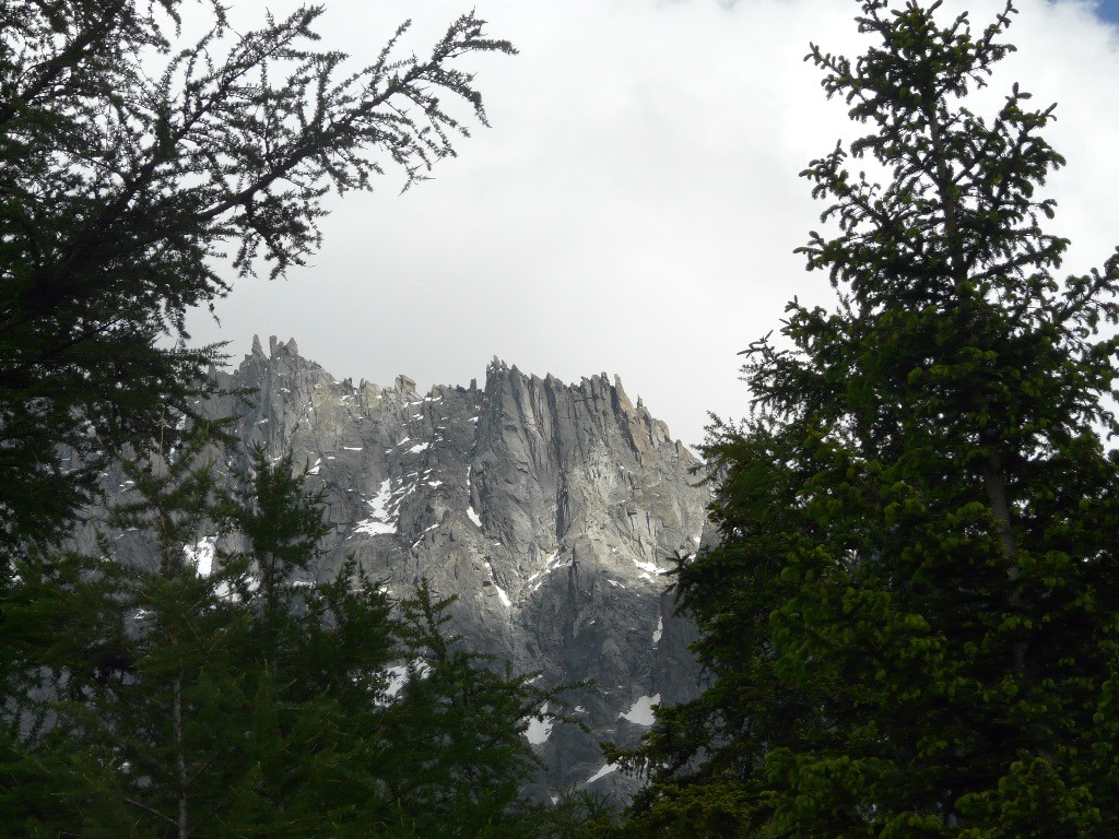 En voyant ces aiguilles, je comprends les peintres de montagne