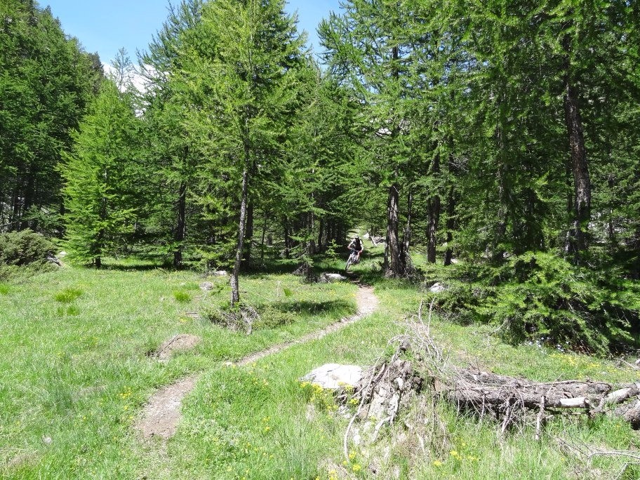 le Mélézin sous le Lac du Lauzon