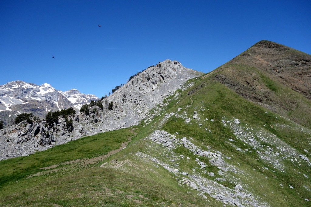 Au pied des difficulté (Comodoto à droite)