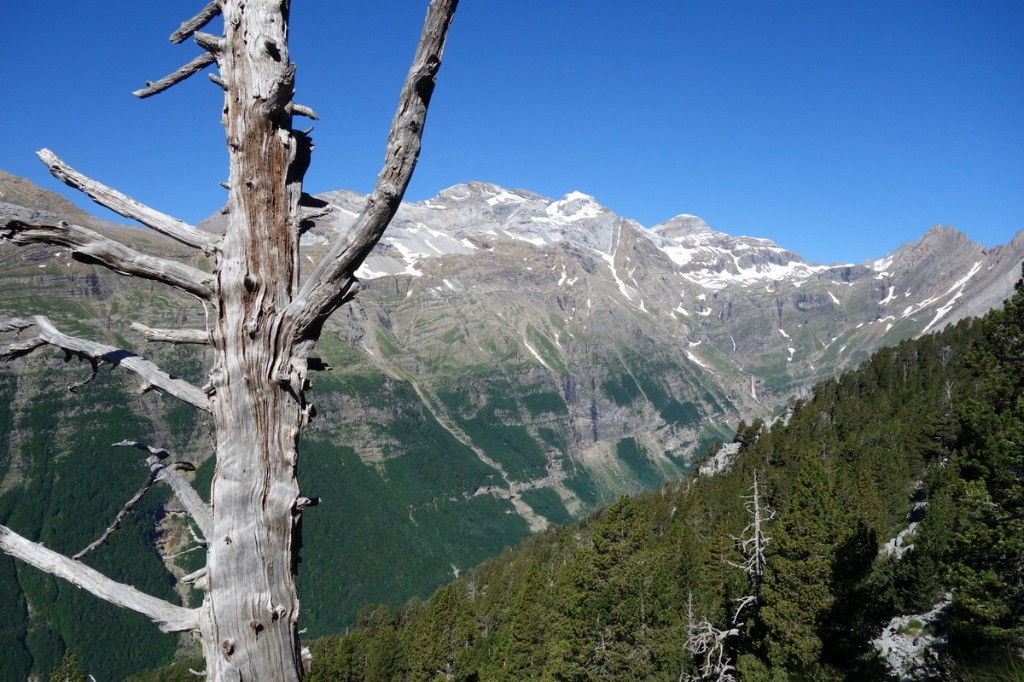 Vallon de Pineta