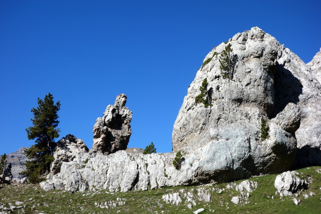 #8 Plana Fonda Plana Fonda