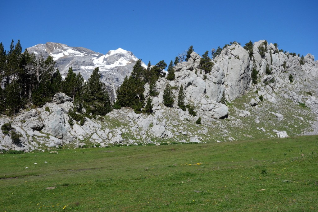 #6 Plana Fonda Plana Fonda