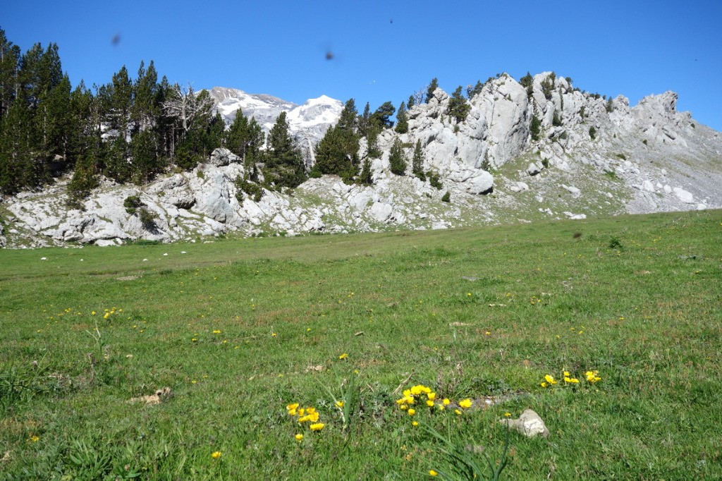 #7 Plana Fonda et Mont Perdu Plana Fonda et Mont Perdu