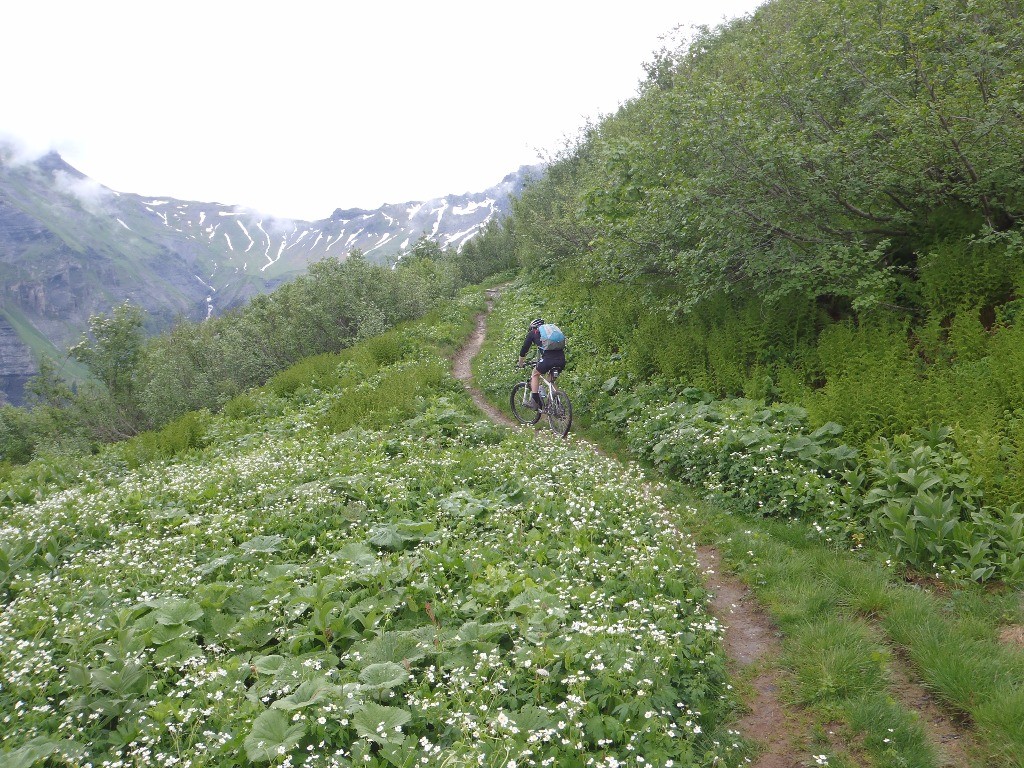 #4 Grimpée du Petit Col d Grimpée du Petit Col d'Anterne : Apres les pylônes, une bonne partie sur le vtt !