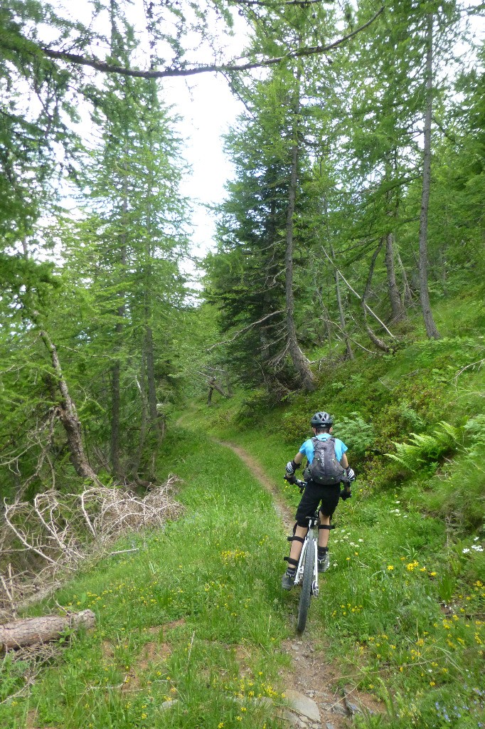 Le sentier est rapide et linéaire