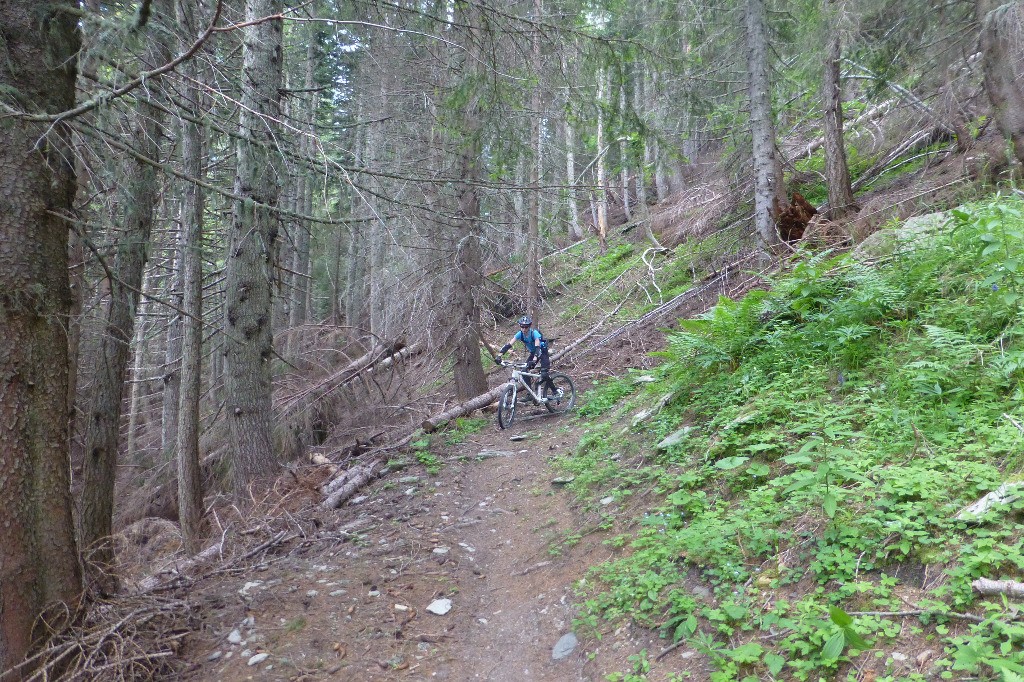 #15 Sur le haut, quelques épingles. Sur le haut, quelques épingles.