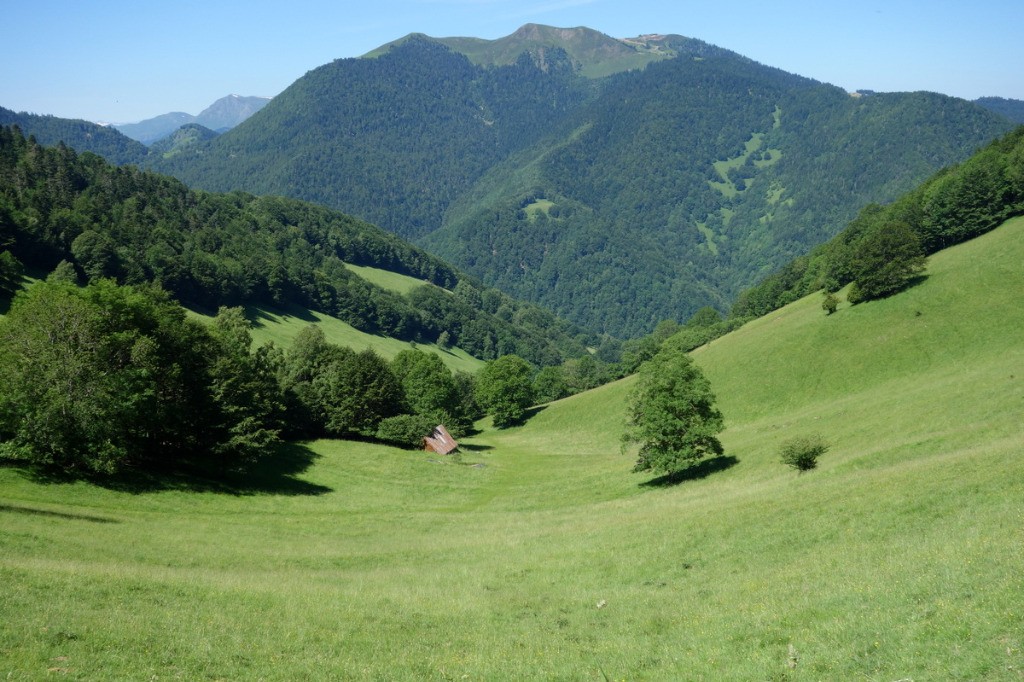 Vallon de descente sur le Couéou