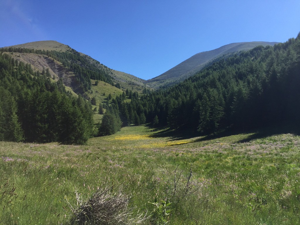 #8 Vue sur la montagne de Nonciere à Gauche et la dent de Lièvre à droite. Pour cet hiver... Vue sur la montagne de Nonciere à Gauche et la dent de Lièvre à droite. Pour cet hiver...