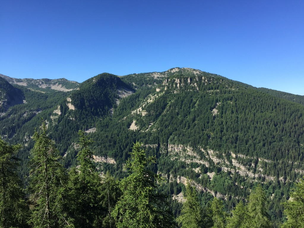 #3 Le Laupon Le Laupon
