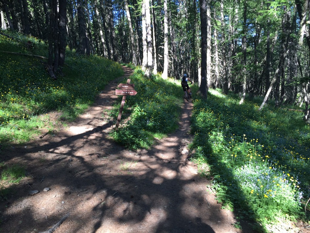 #2 A la bifurcation avec le sentier de la Noncière qu A la bifurcation avec le sentier de la Noncière qu'on laisse à gauche