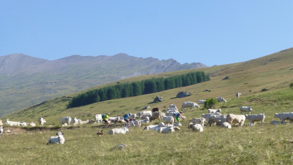 Montée aux Granges de Verzio