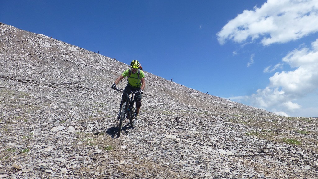 #21 Freeride Freeride