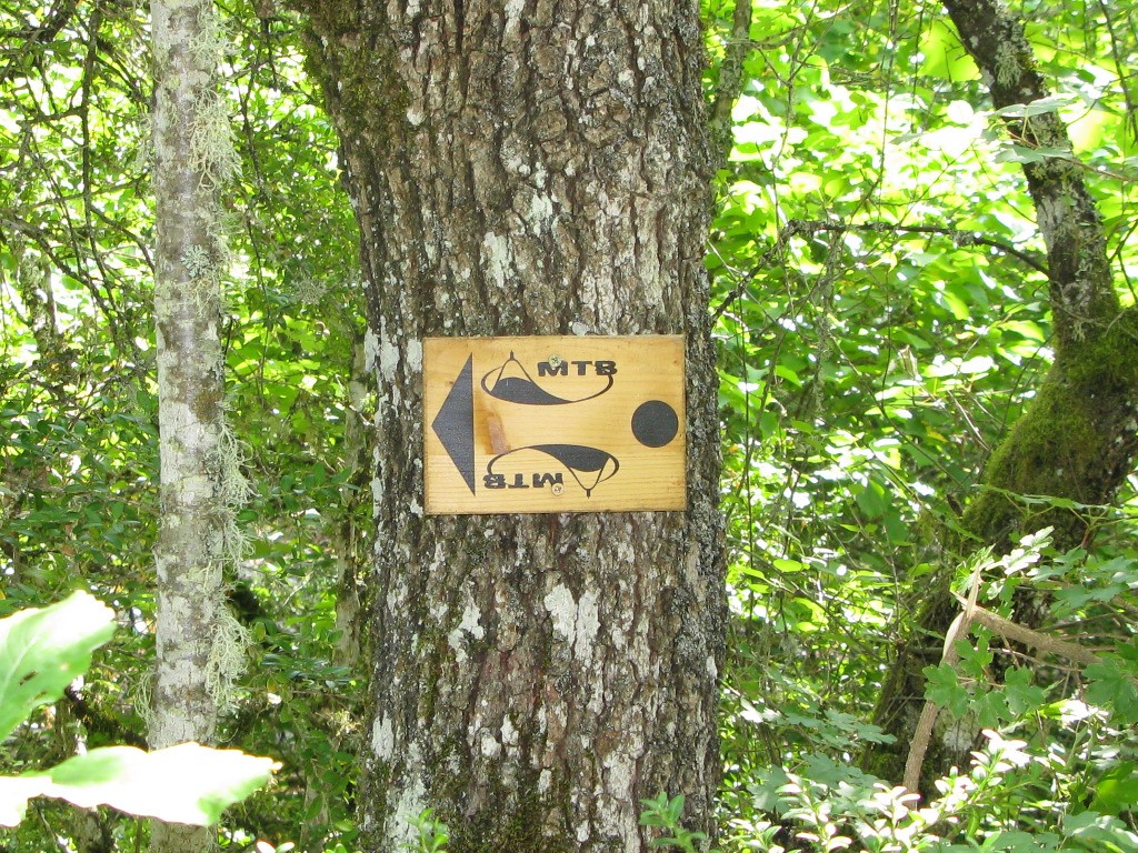 #15 A quoi correspondent ces balises exactement? A quoi correspondent ces balises exactement?