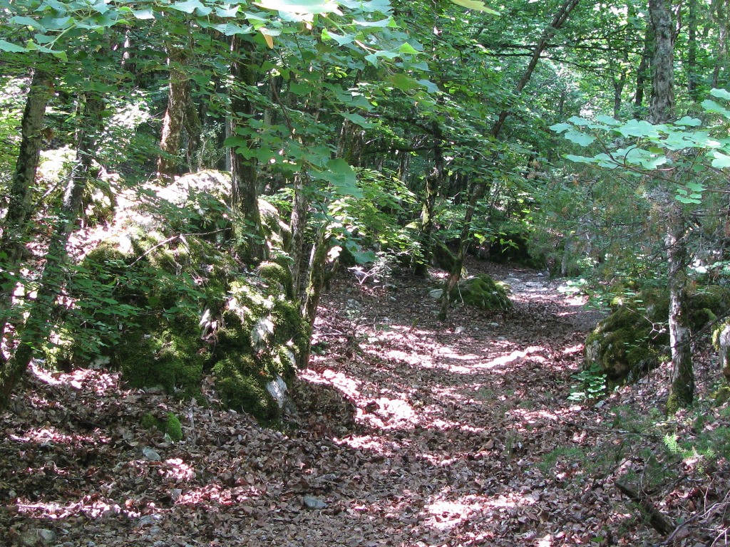 #14 Magnifique passage dans la combe de Canaud. Magnifique passage dans la combe de Canaud.