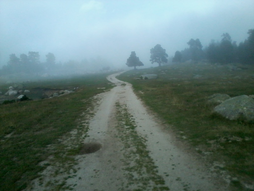 #7 Jasse de Bernardi, retour dans le brouillard. Jasse de Bernardi, retour dans le brouillard.