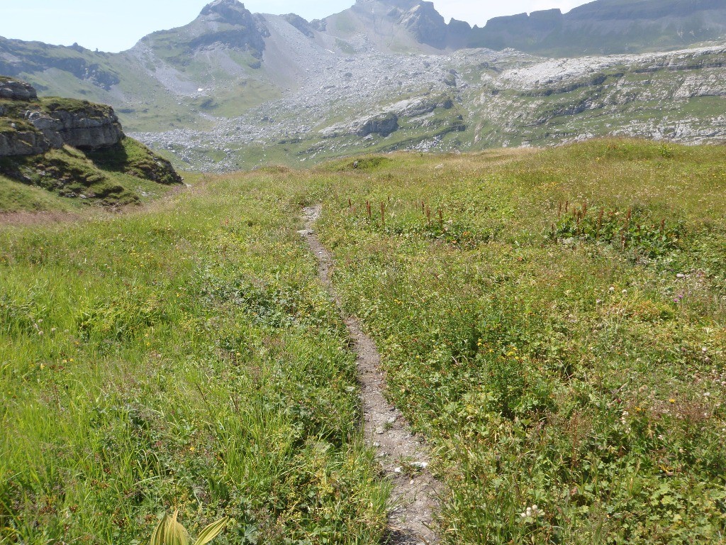 #17 Sentier : d Sentier : d'Alpage des Salamanes, cela roule.
