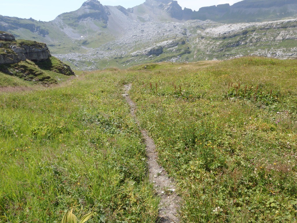 Sentier : d'Alpage des Salamanes, cela roule.