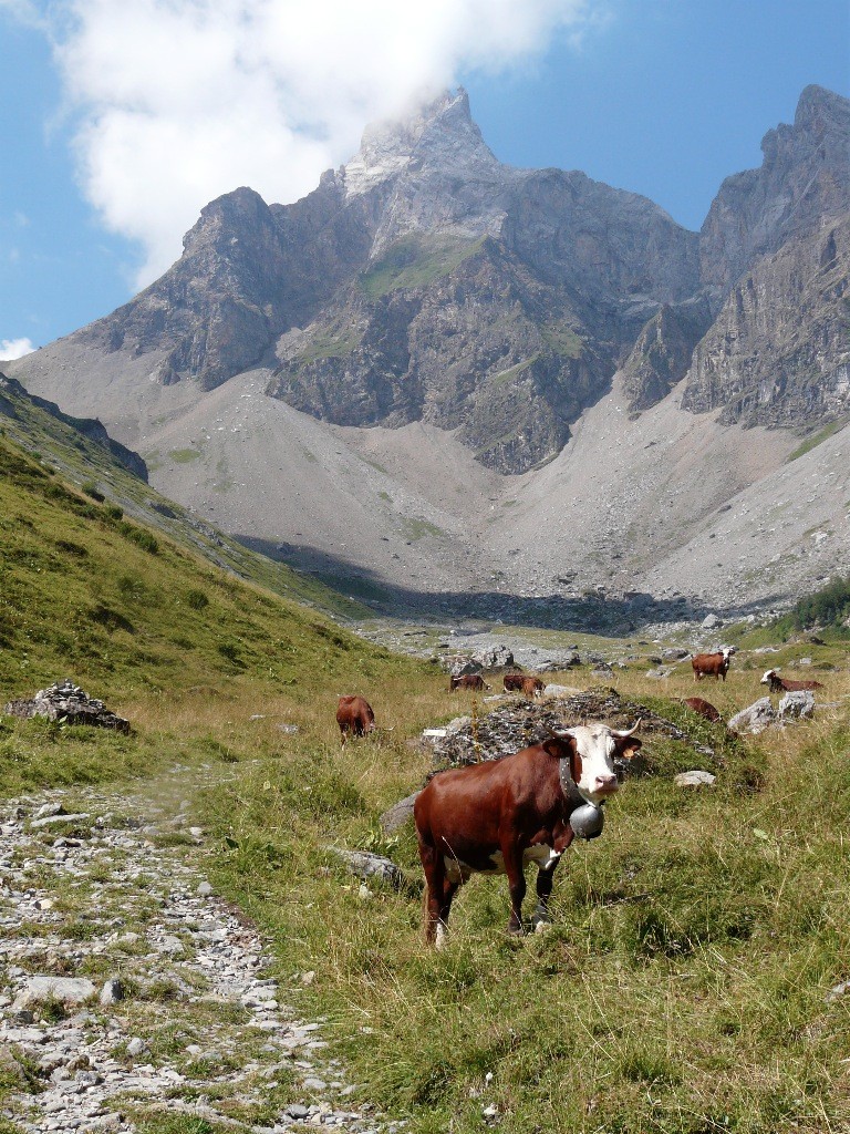 Pointe percée dans les nuages