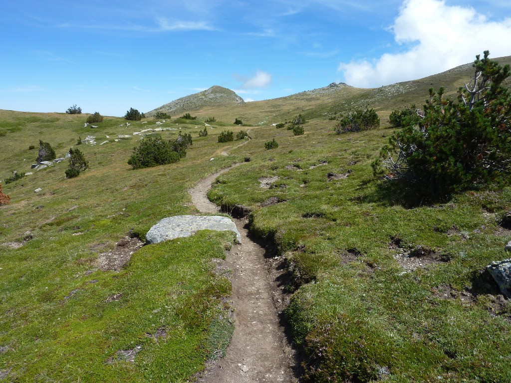 #5 Sentier bien roulant sous le sommet du Madres Sentier bien roulant sous le sommet du Madres