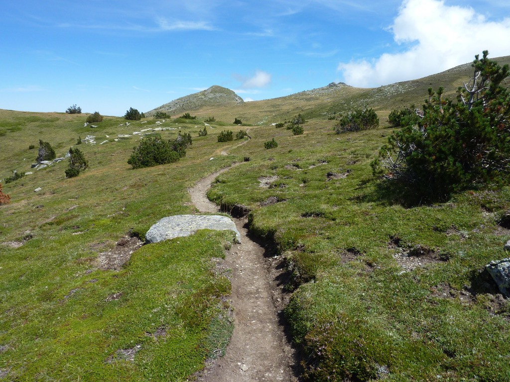 Sentier bien roulant sous le sommet du Madres