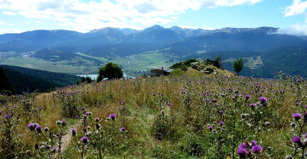 #7 Refuge Oller Refuge Oller