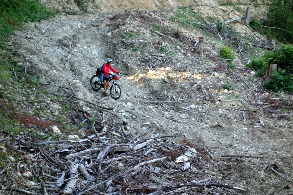 Fin de descente: arrivée sur la route des Ecouges.