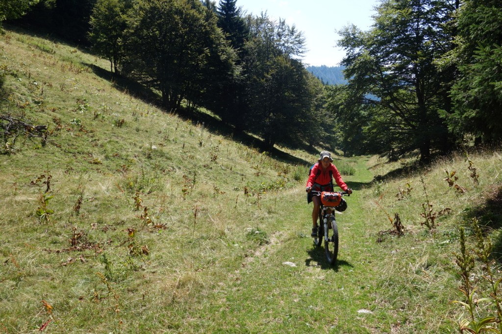 Montée sous Fessole (avant le Pas de Pierre Taillée)