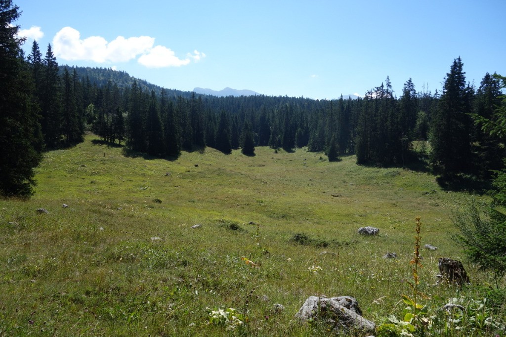 #5 Sur les Hauts Plateaux Sur les Hauts Plateaux