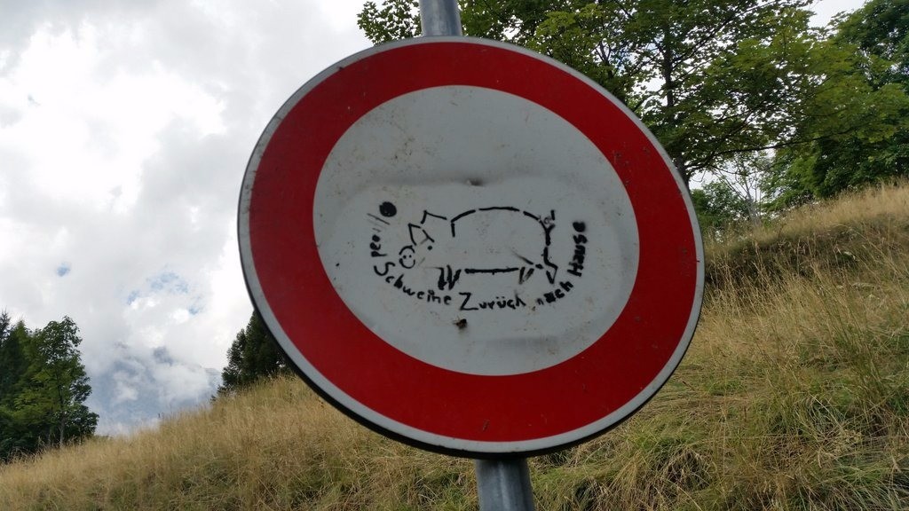 Offroad Schweine zurück nach Hause