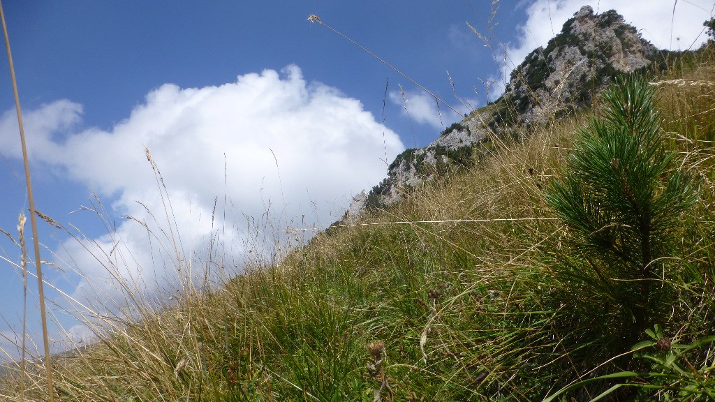 Oui, mais il est où le sentier