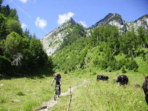#4 Descente sur Trient Descente sur Trient