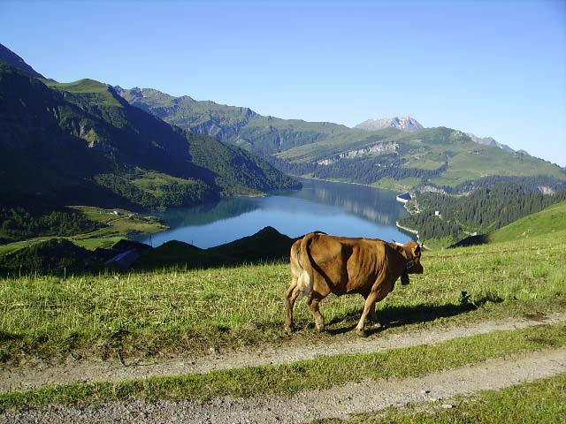 Lac de roselend/col la sauce : Lac de roselend depuis le col de la Sauce