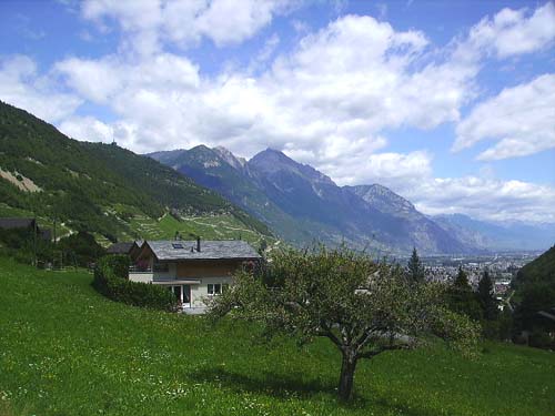 La Suisse et ses abricotiers : La suisse et ses abricotiers