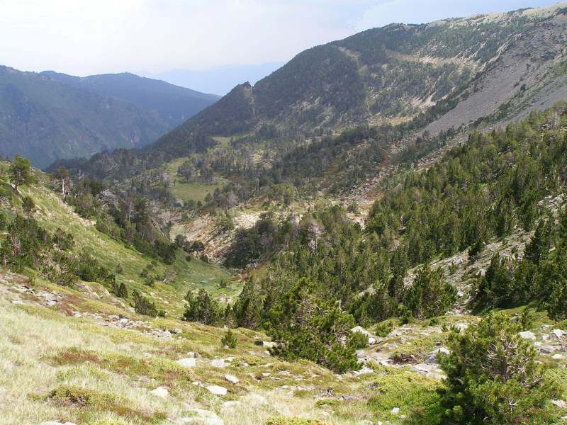 #2 Vallon de la Muntanyeta : La descente, c Vallon de la Muntanyeta : La descente, c'est par là !