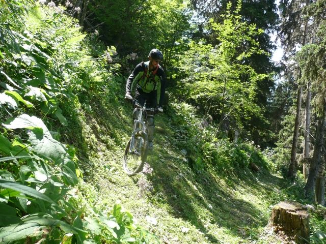 #5 Epingle dans l Epingle dans l'herbe : Ca va pas mal tout a été fauché