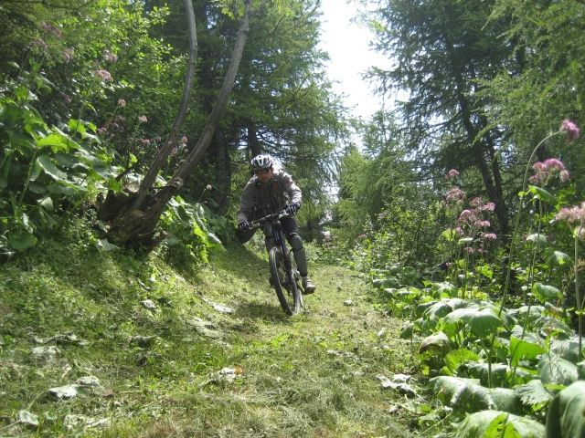 #6 Winbledon des épingles.. : ... avant la partie en sous-bois Winbledon des épingles.. : ... avant la partie en sous-bois