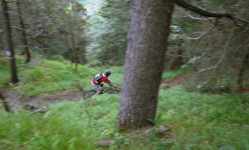 Rocher de Villeneuve : Bois de Masséché