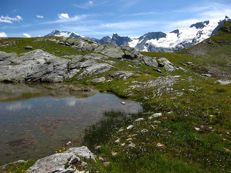 #8 Gouille : A viser depuis le sommet Gouille : A viser depuis le sommet