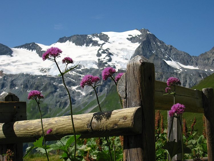 Grand Bec : Du refuge de Plaisance