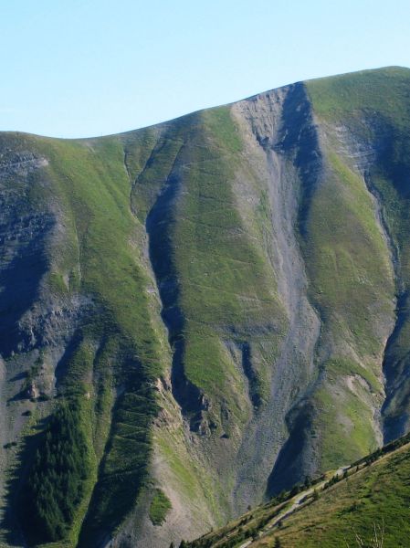 #1 Pérolier : Pour les amateurs d Pérolier : Pour les amateurs d'épingles tendues ceci est votre Grââl